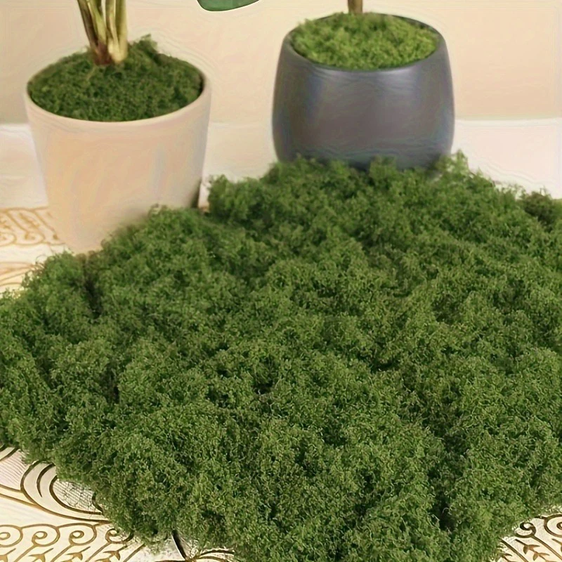 Sphagnum Moss Dry - 1 \ 5 \ 8 pcs