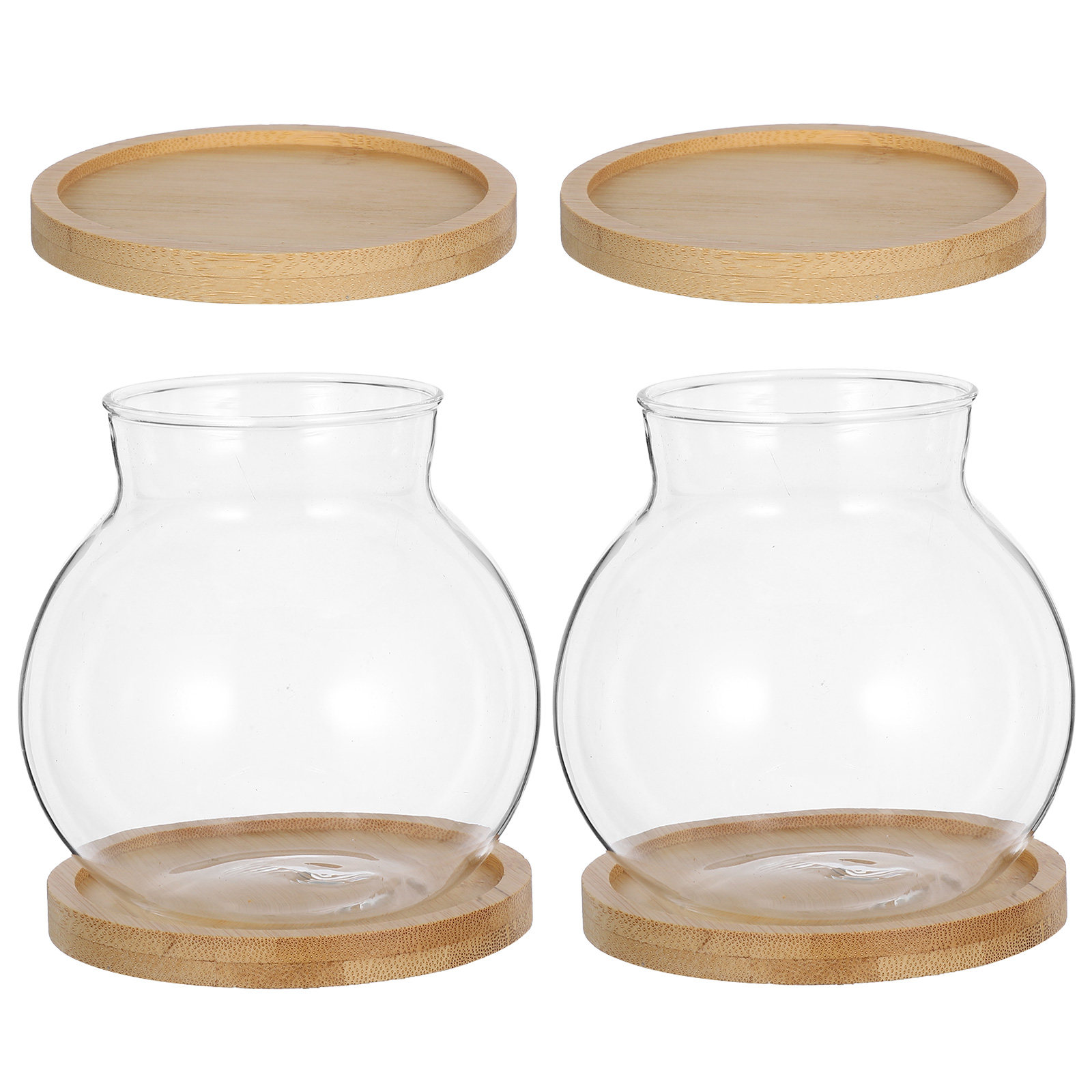 Propagation Station Vase - 2Set Hydroponic Vase Glass Planter Elegant