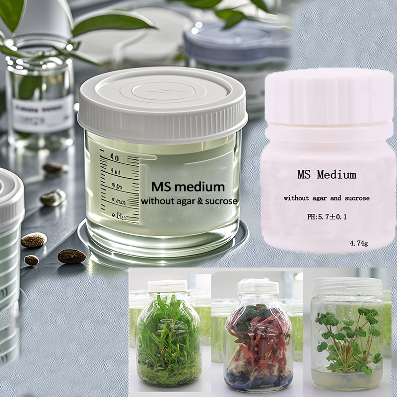 MS medium Without Agar Or Sucr – Agar Tissue Culture Bewertung und Preis