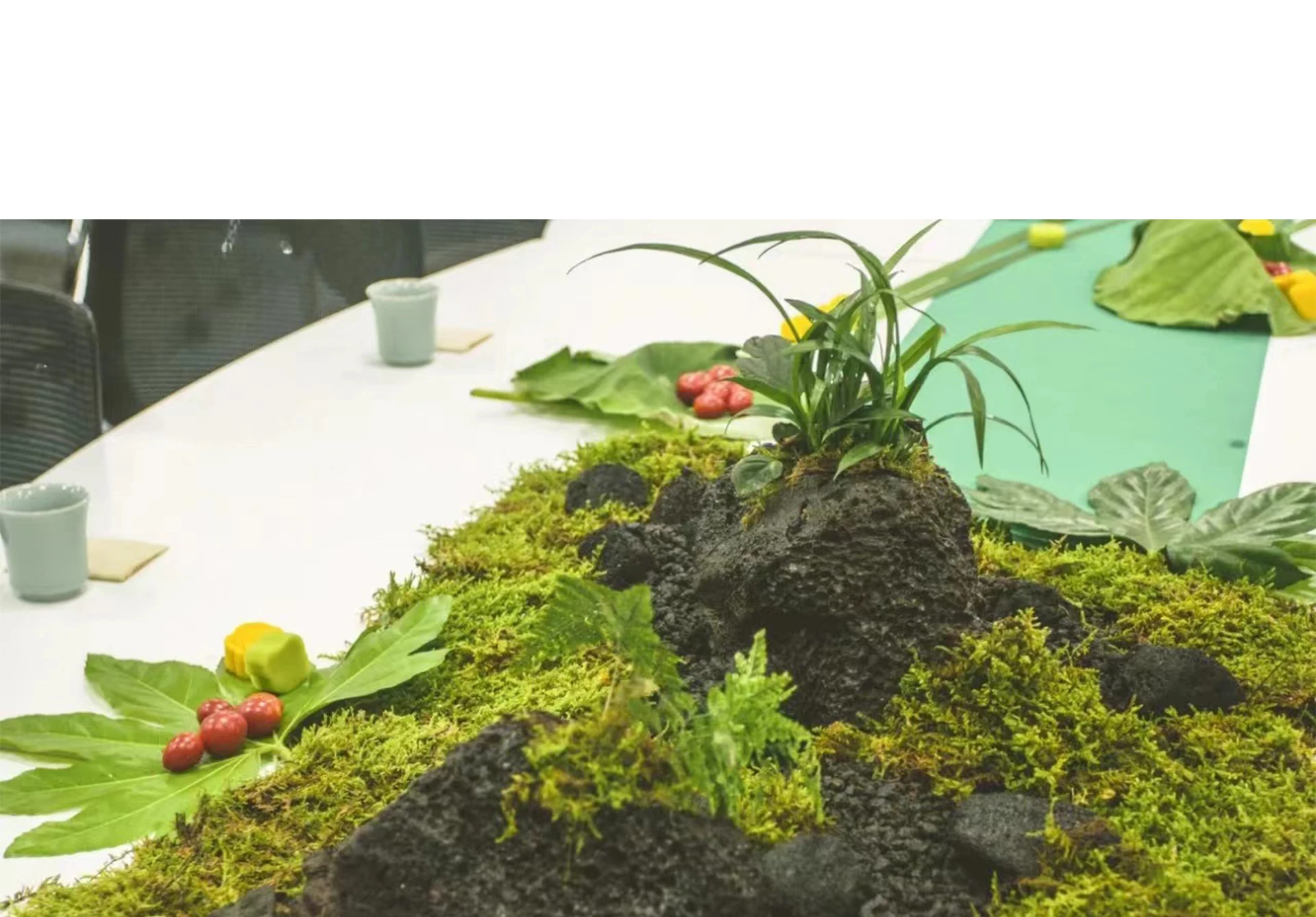 Fake Moss Artificial Moss for  – Sphagnum Moss Dry Bewertung und Preis