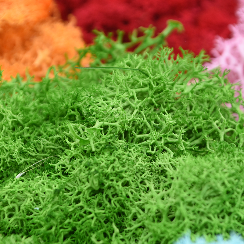 20/40g Artificial Green Plants – Sphagnum Moss Dry Bewertung und Preis