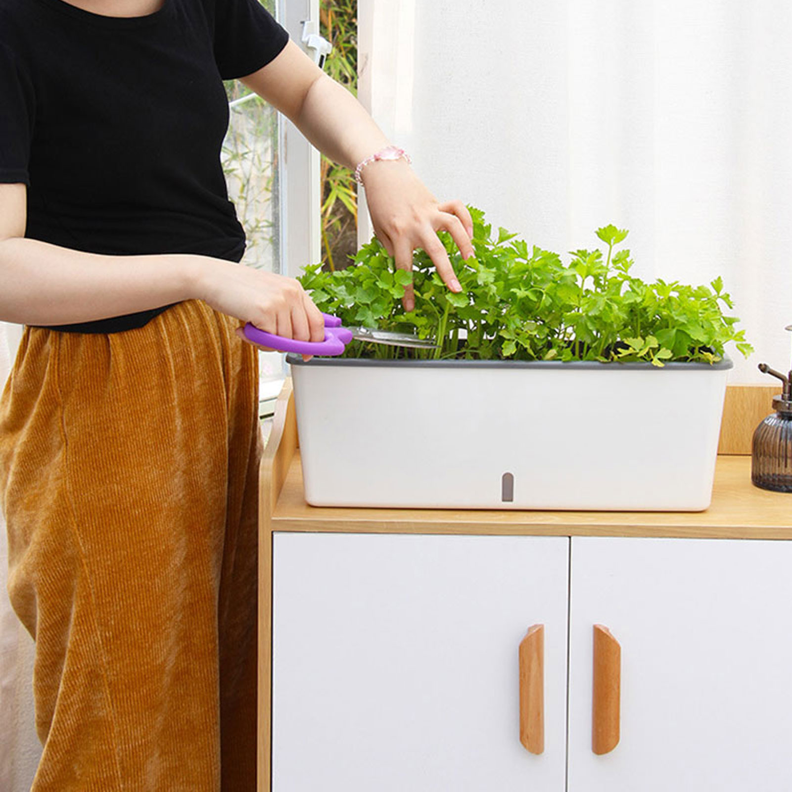Self-Watering Planter Pots wit – Self Watering Insert Bewertung und Preis