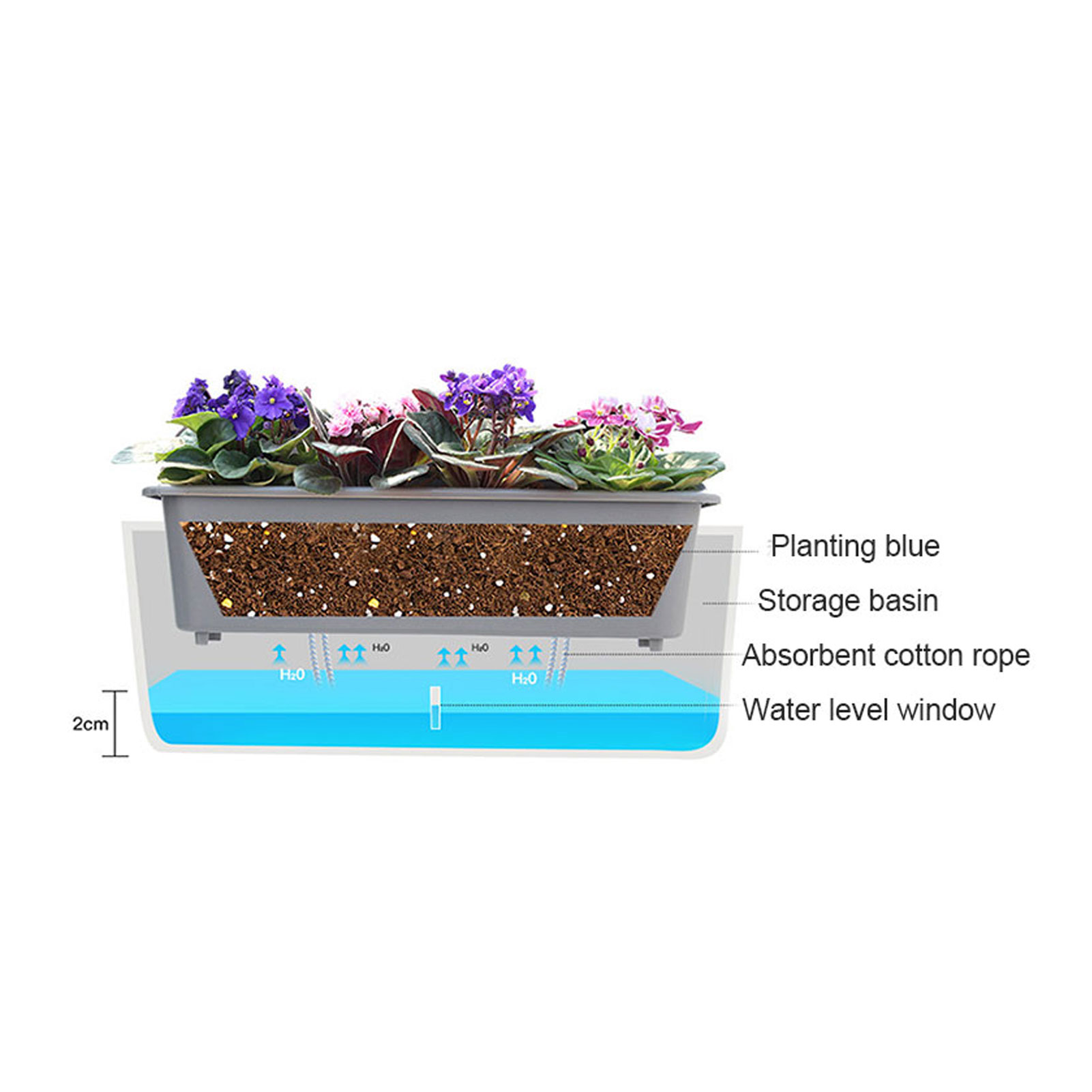 Self-Watering Planter Pots wit – Self Watering Insert Bewertung und Preis