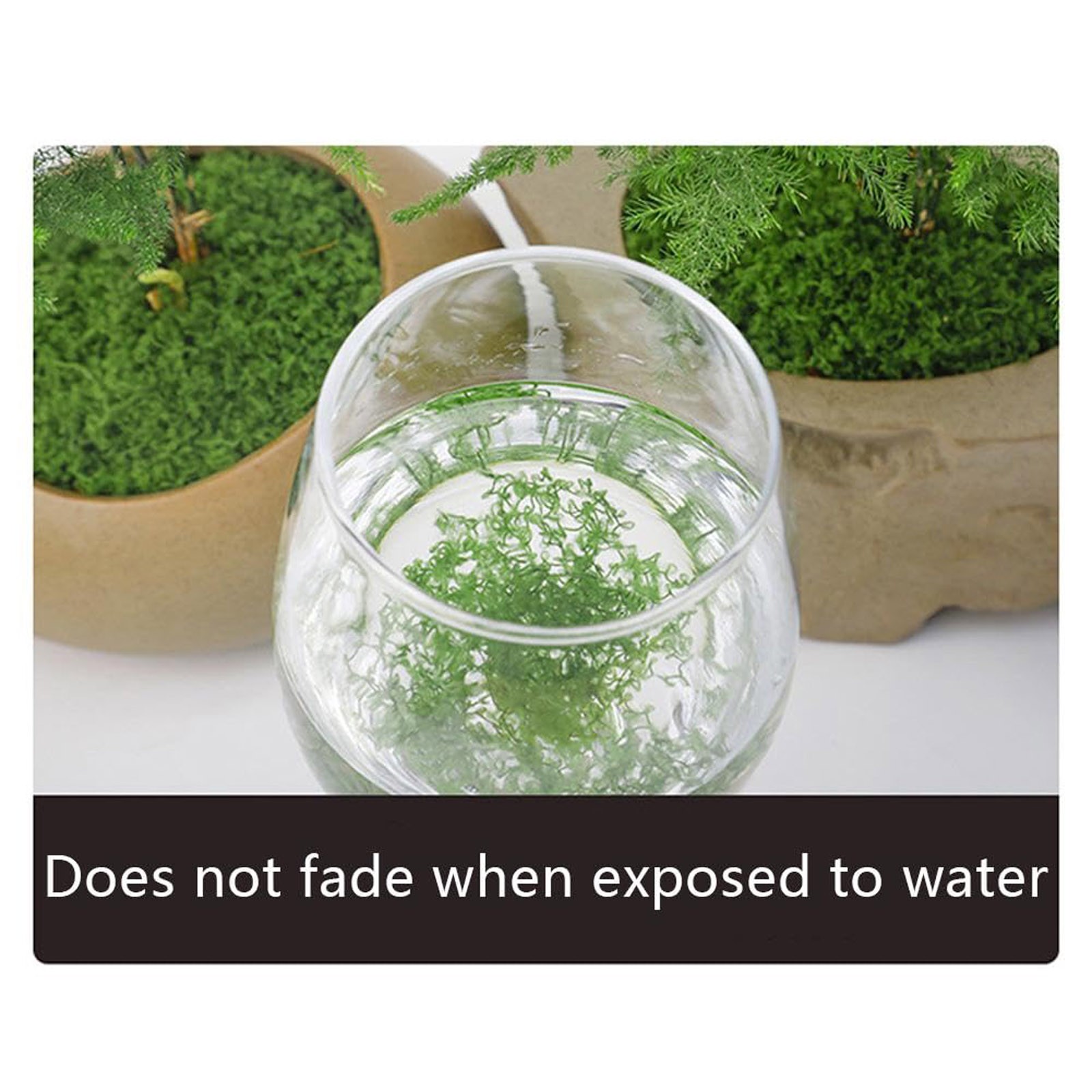 50/200g Artificial Moss For De – Sphagnum Moss Dry Bewertung und Preis