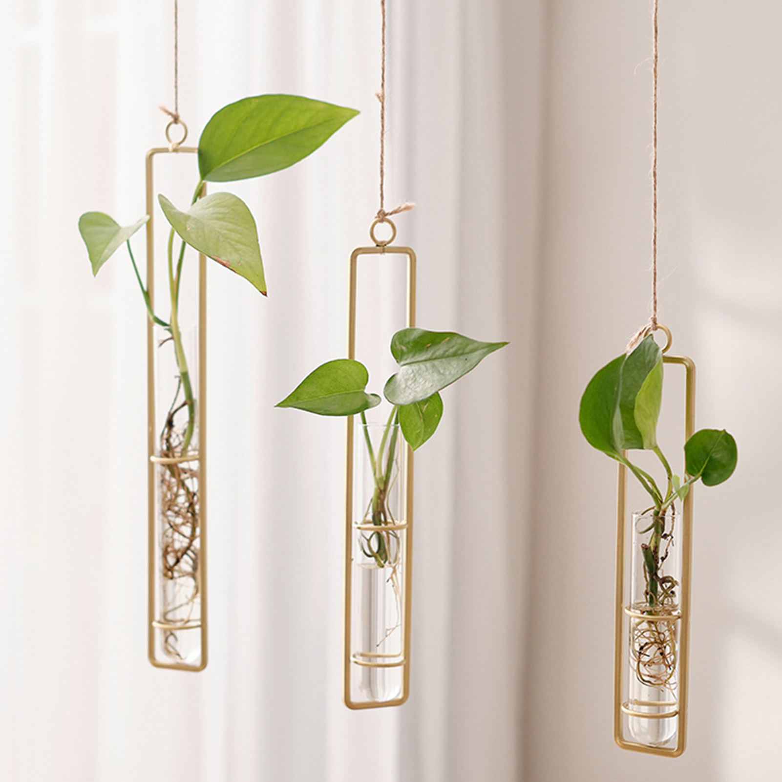 Wall Hanging Glass Vase Europe – Propagation Station Vase Bewertung und Preis