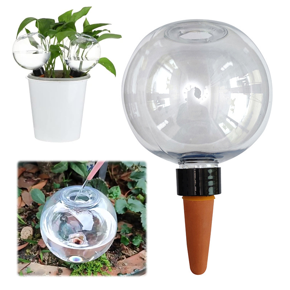 500ML Self Watering Globes Dri – Self Watering Insert Bewertung und Preis