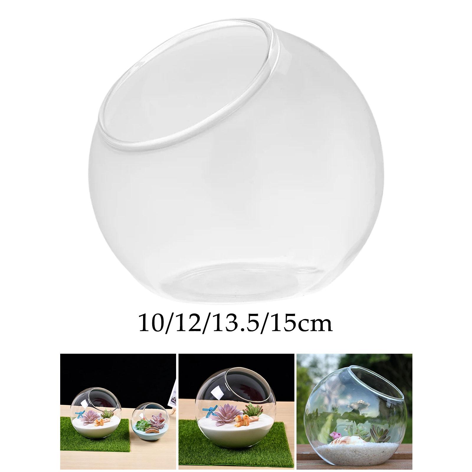 Terrarium Glass Vase Unique Ce – Propagation Station Vase Bewertung und Preis