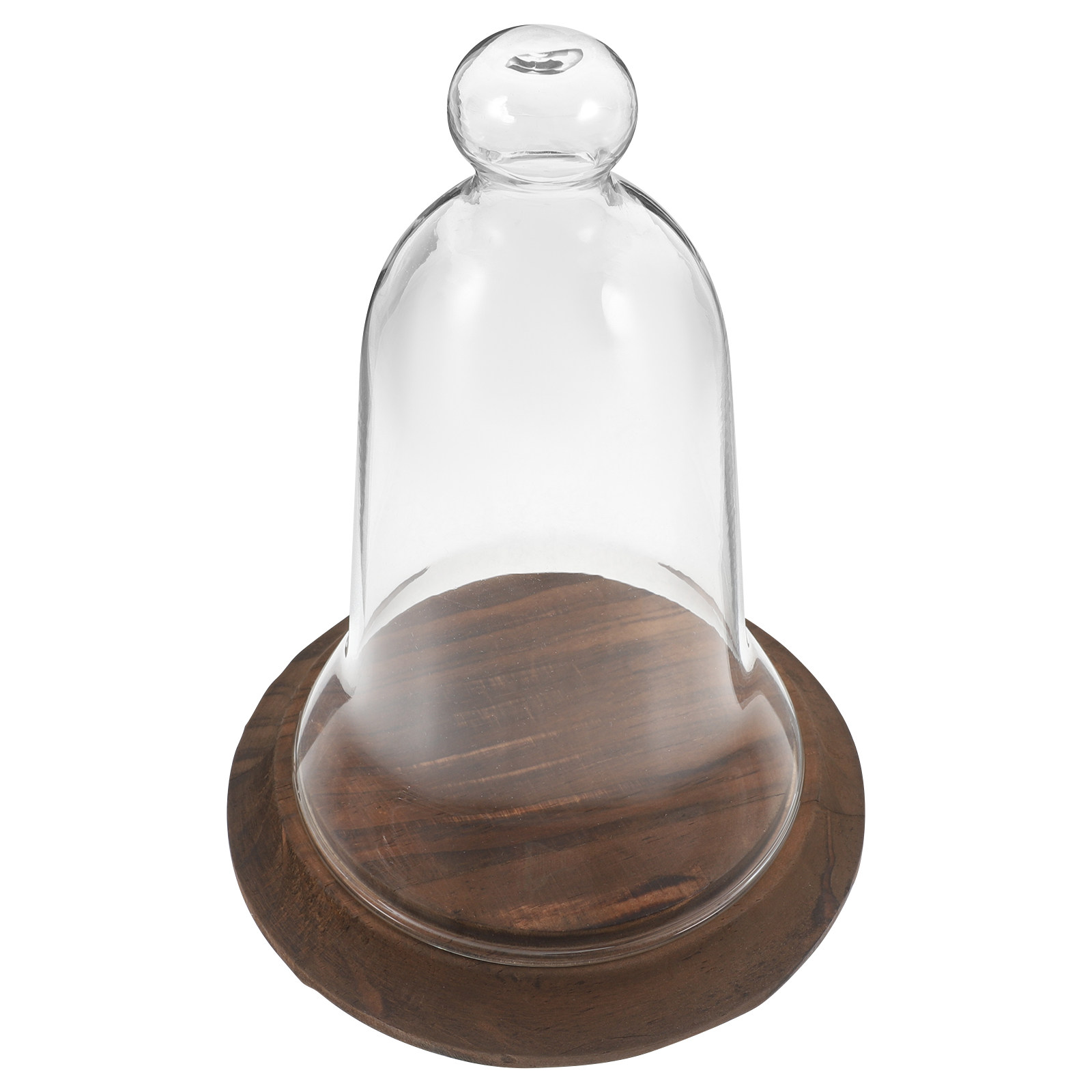 High Borosilicate Glass Cloche – Plastic Dome Clear Bewertung und Preis