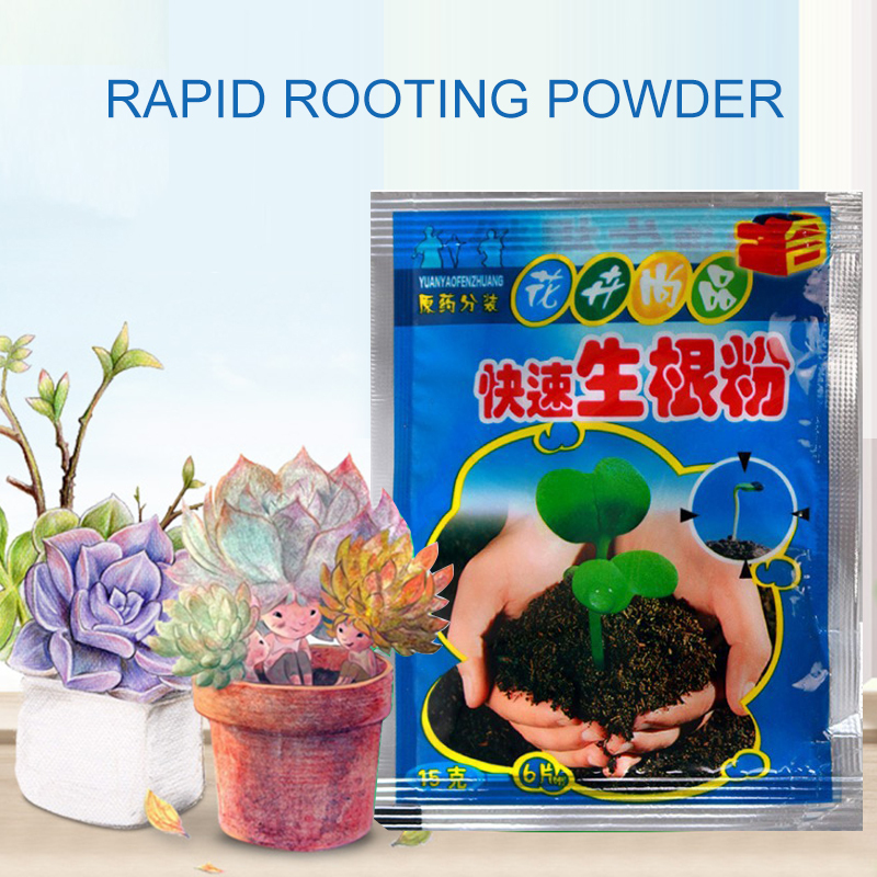 5pcs Fast Rooting Powder Plant – Rooting Hormone Powder Bewertung und Preis