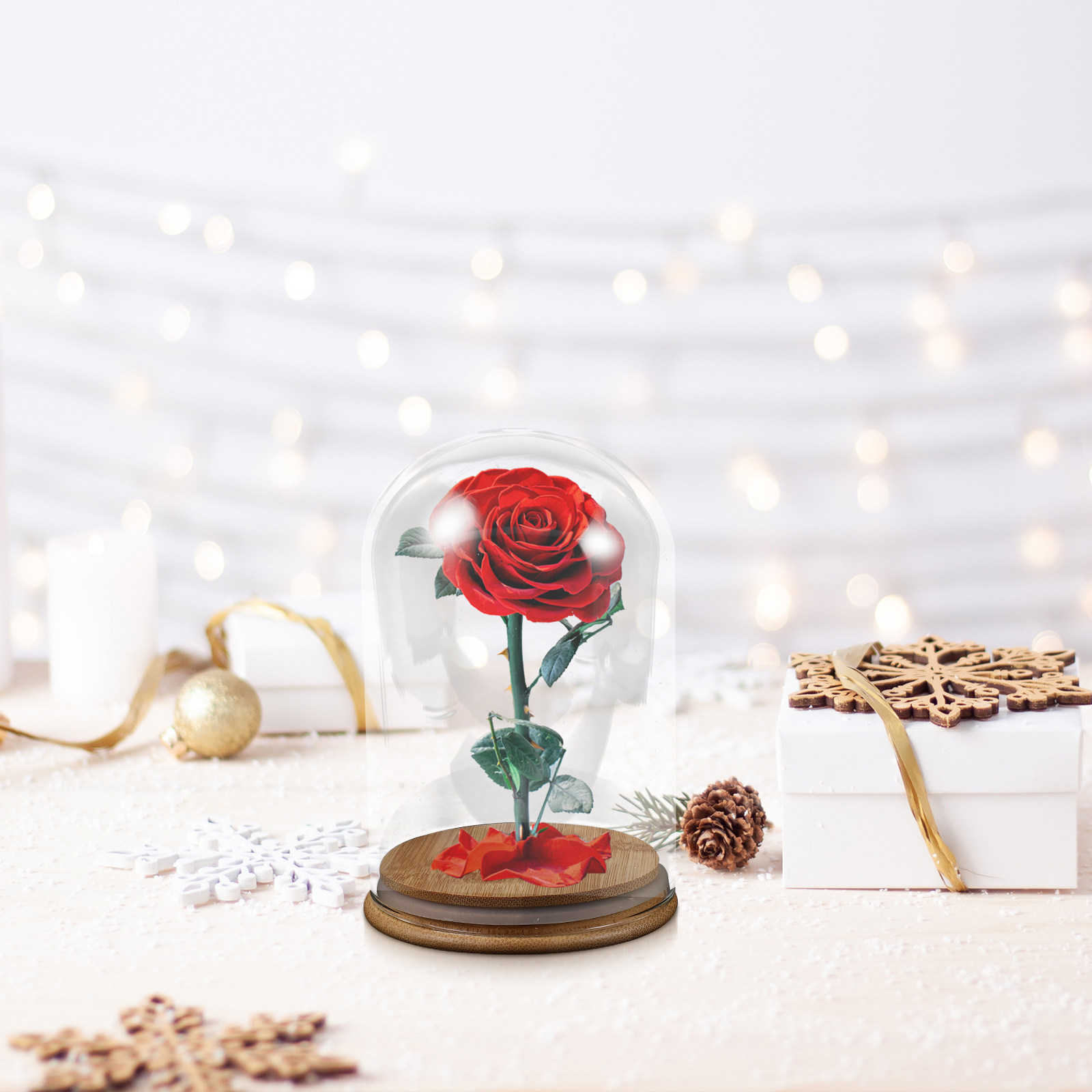 Glass Cloche Display Dome Bell – Plastic Dome Clear Bewertung und Preis