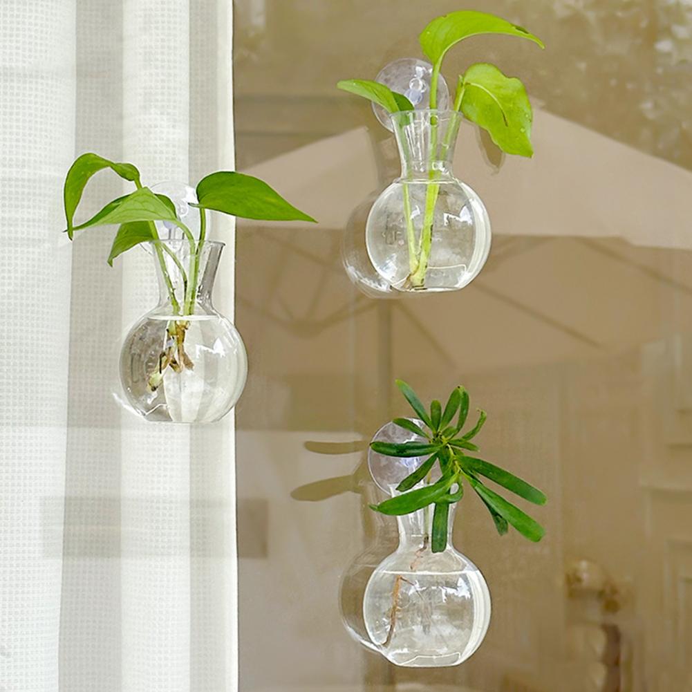 Window Planter Vase Window Pla – Propagation Station Vase Bewertung und Preis