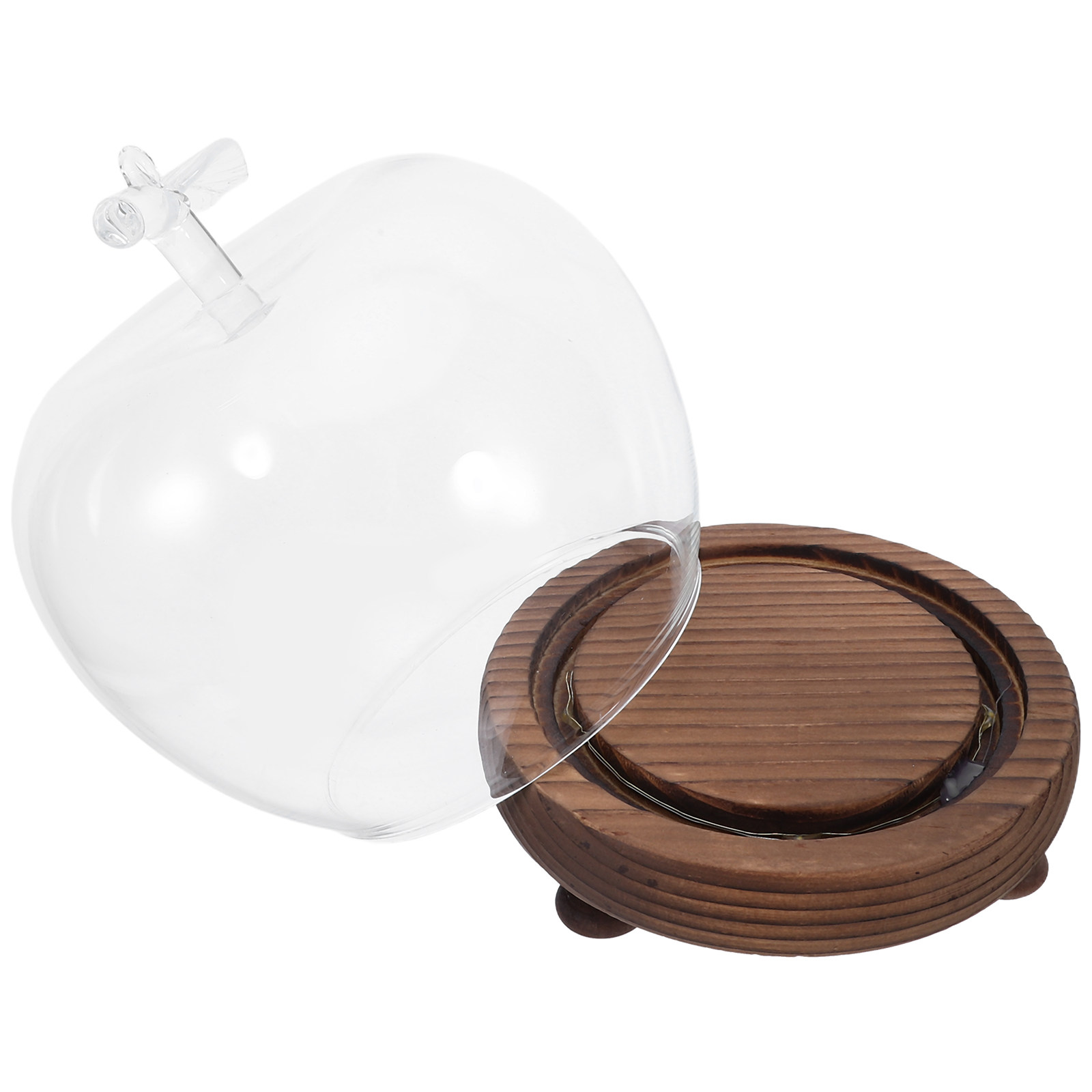 Clear Glass Dome Display with  – Plastic Dome Clear Bewertung und Preis