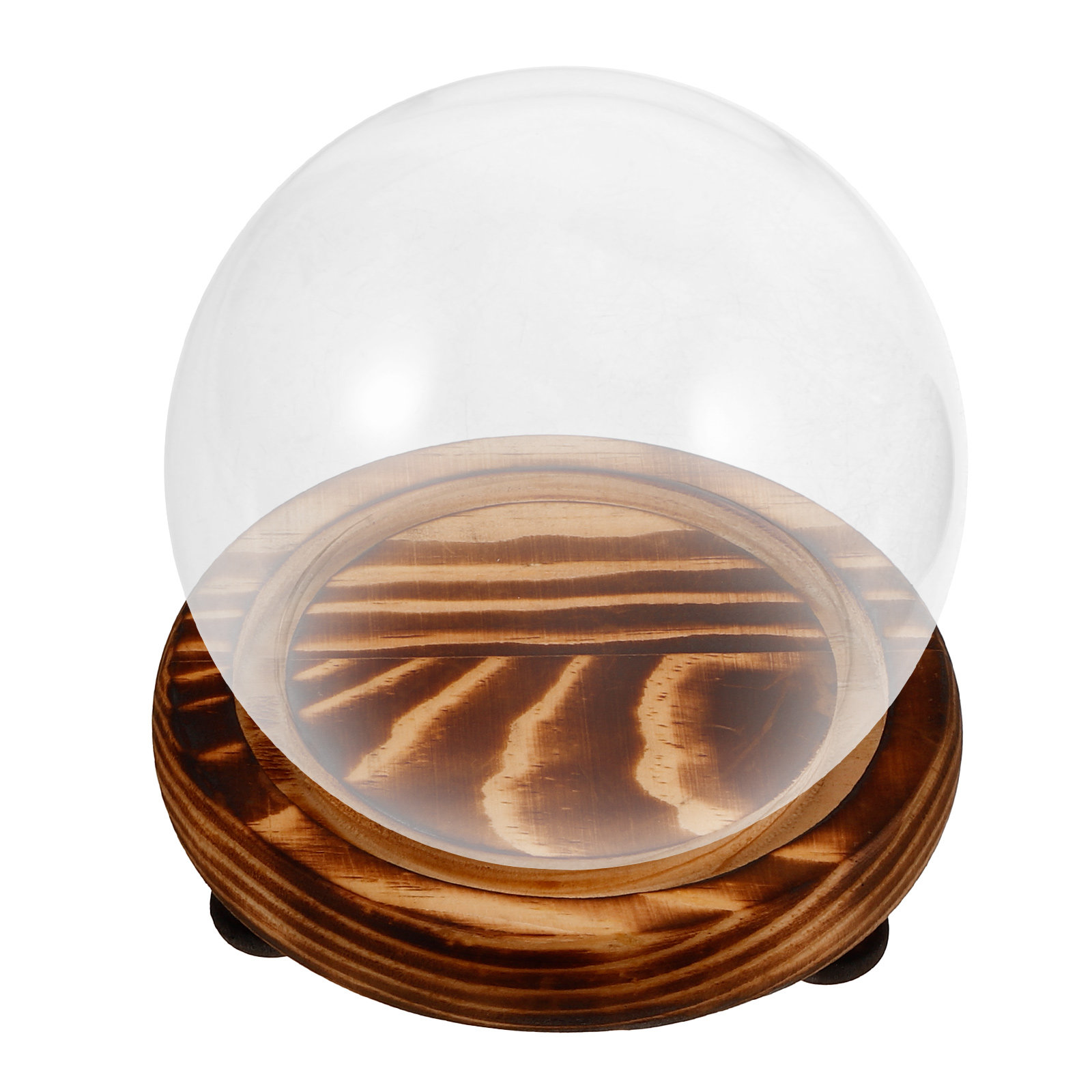 Glass Dome Display Case with W – Plastic Dome Clear Bewertung und Preis