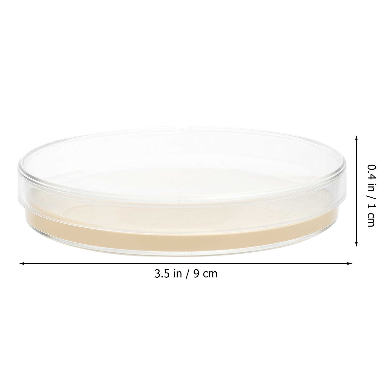 10pcs Nutrient Agar Plates Pre – Agar Tissue Culture Bewertung und Preis