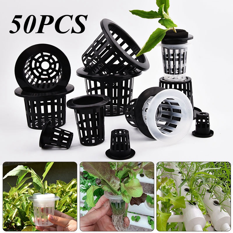 50Pcs Black White Soilless Mes – Self Watering Insert Bewertung und Preis