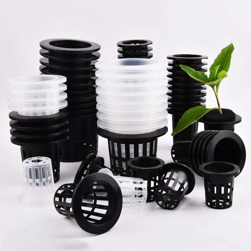 50Pcs Black White Soilless Mes – Self Watering Insert Bewertung und Preis