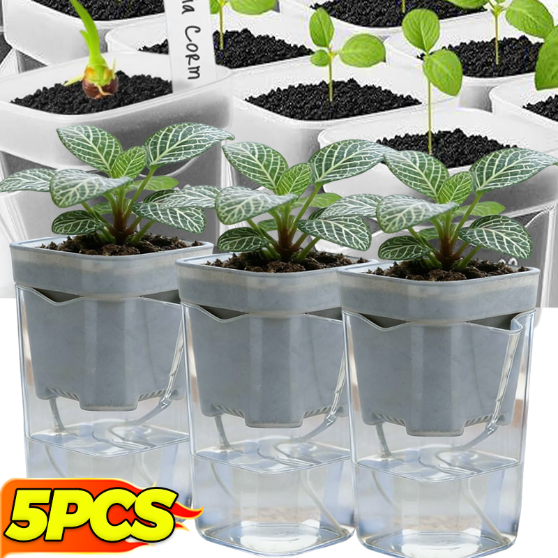 Transparent Flower Plant Pot S – Self Watering Insert Bewertung und Preis