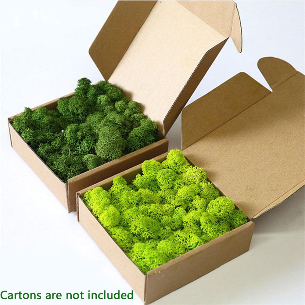 Artificial Plant Eternal Life  – Sphagnum Moss Dry Bewertung und Preis
