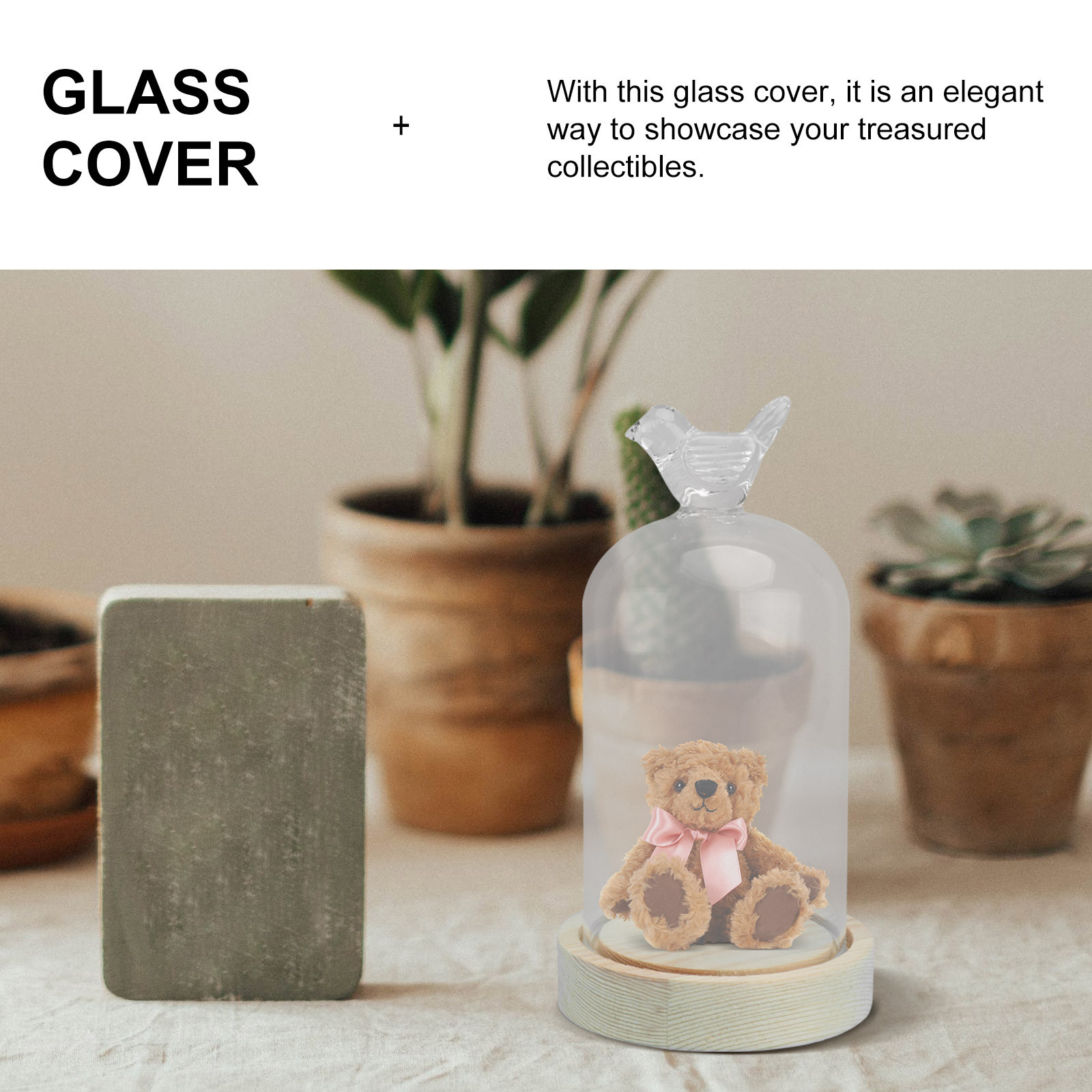 1Pcs Mini Glass Dome Cover Bir – Plastic Dome Clear Bewertung und Preis