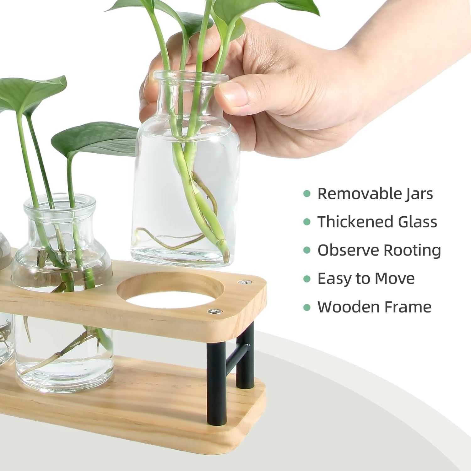 Propagation Station with Woode – Propagation Station Vase Bewertung und Preis