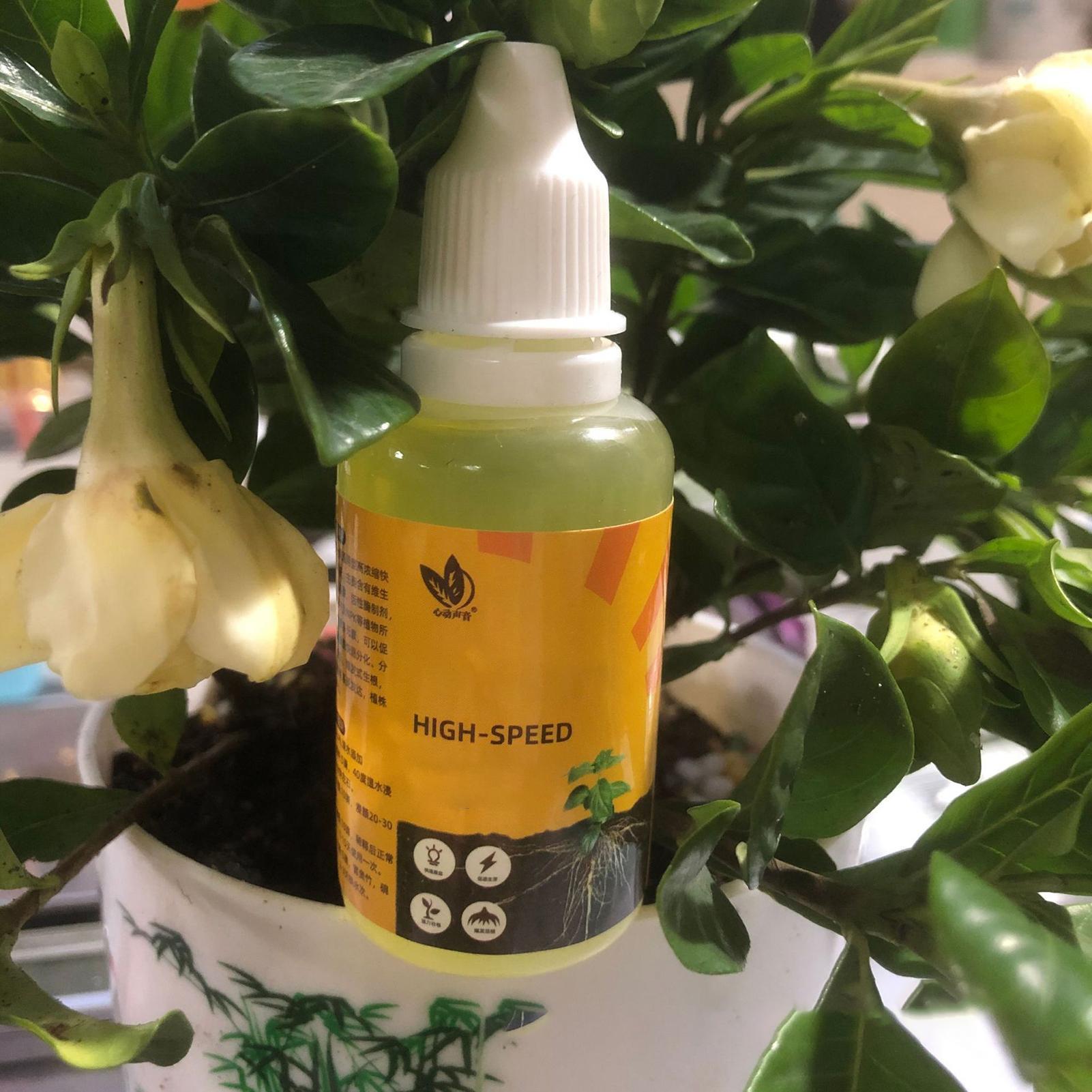 50ml Plant Rooting Stimulator  – Root Stimulator Liquid Bewertung und Preis