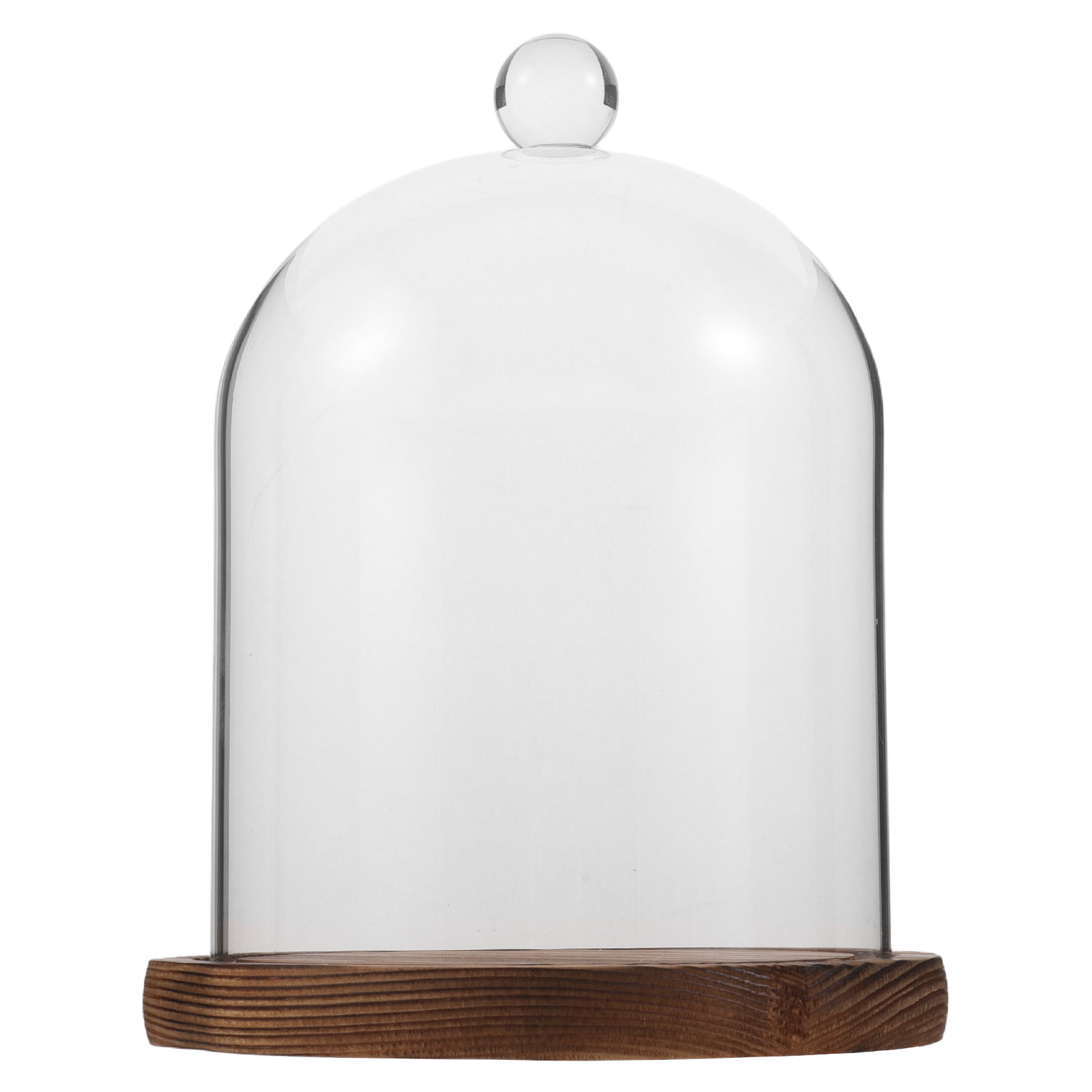 Clear Glass Bell Jar Dome for  – Plastic Dome Clear Bewertung und Preis