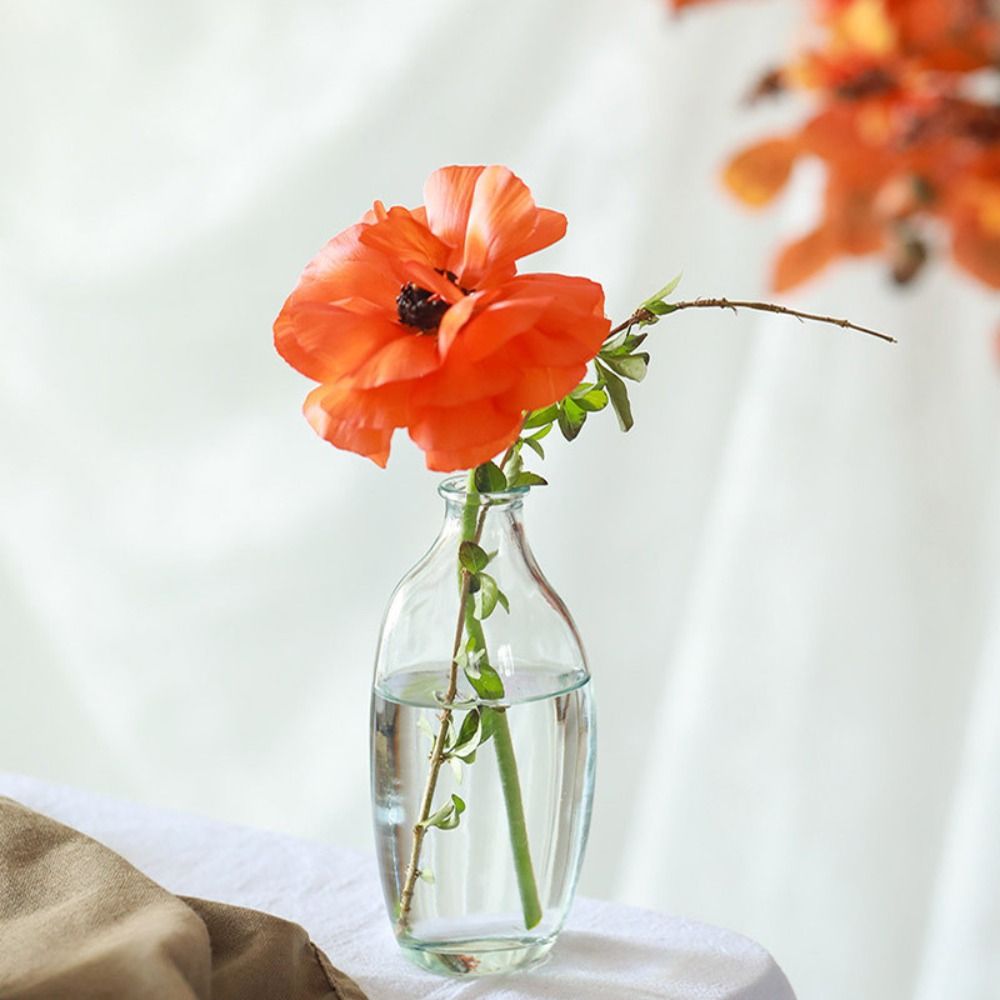 Fashion Retro Flower Vase Glas – Propagation Station Vase Bewertung und Preis