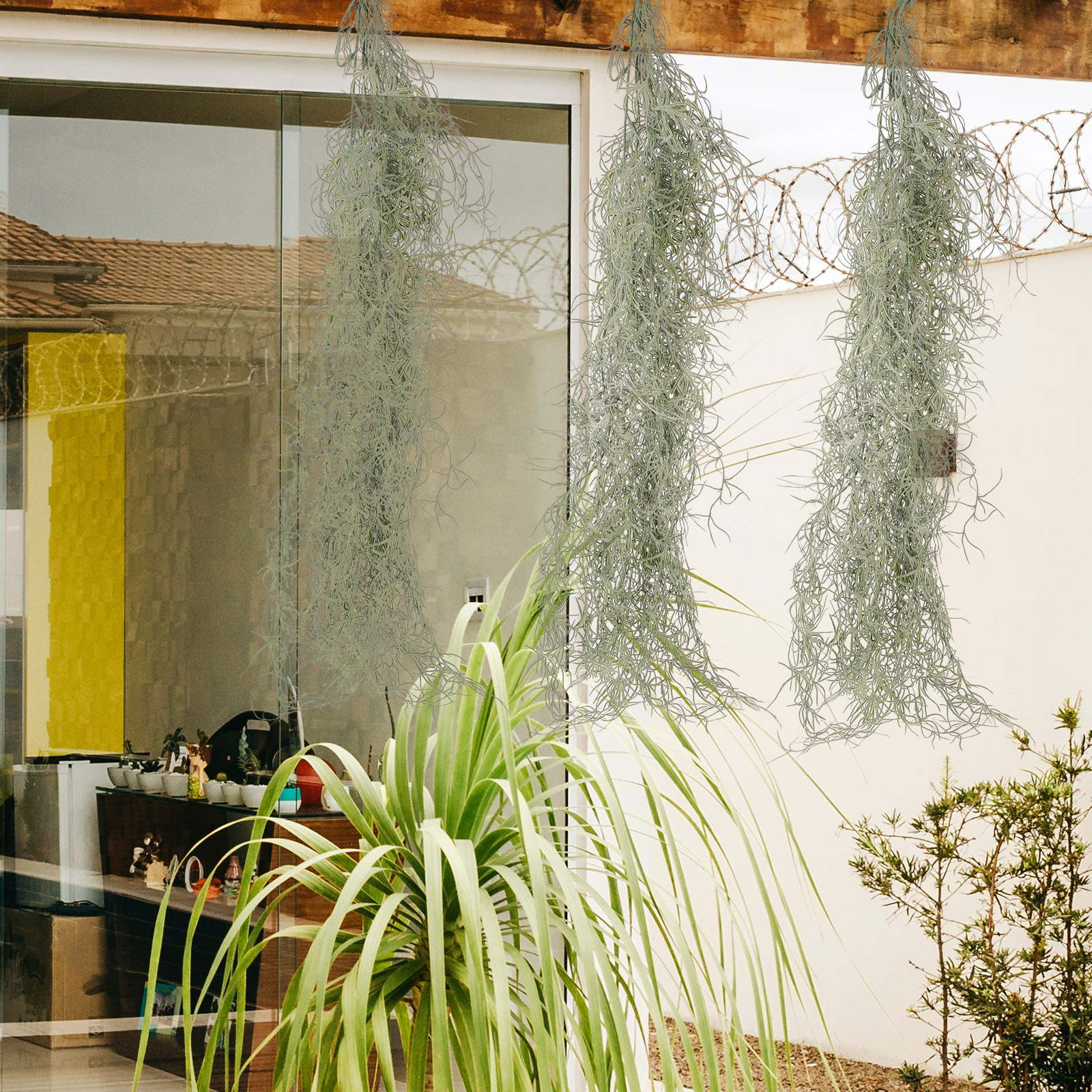 Hanging Moss Decor Artificial  – Sphagnum Moss Dry Bewertung und Preis