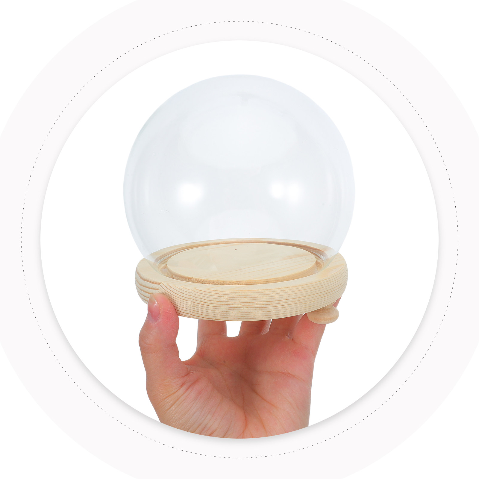 Dried Flower Glass Dome Displa – Plastic Dome Clear Bewertung und Preis