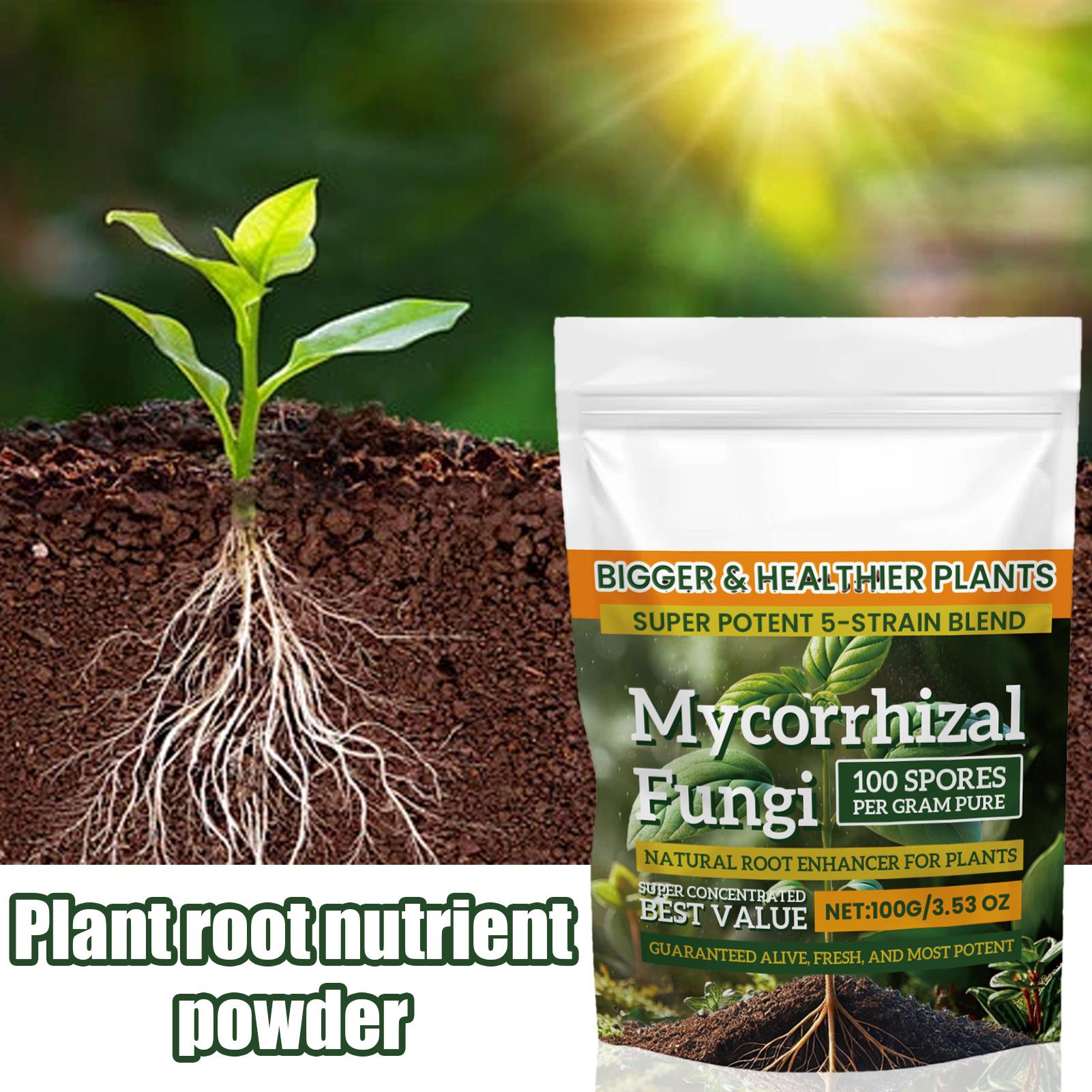 Plant Growth Enhancer Powder 1 – Rooting Hormone Powder Bewertung und Preis