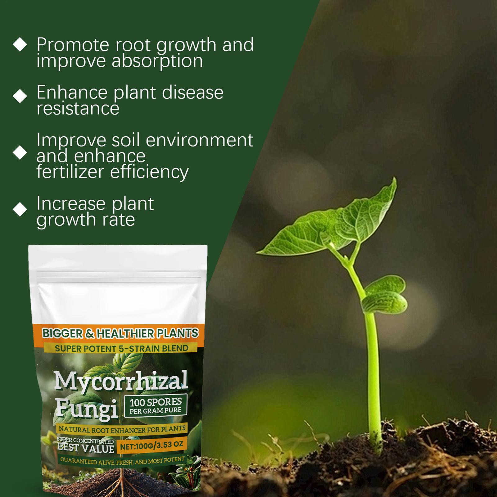Plant Growth Enhancer Powder 1 – Rooting Hormone Powder Bewertung und Preis