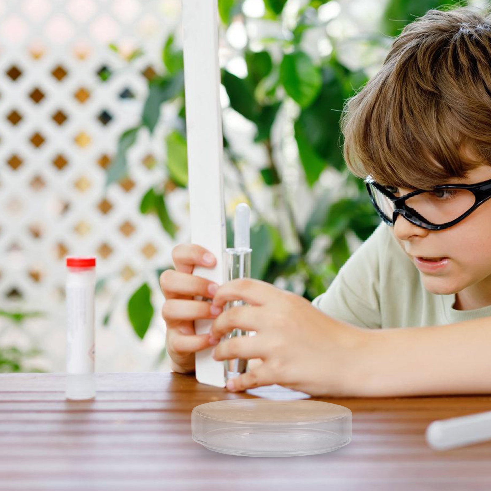 High Borosilicate Glass Petri  – Agar Tissue Culture Bewertung und Preis