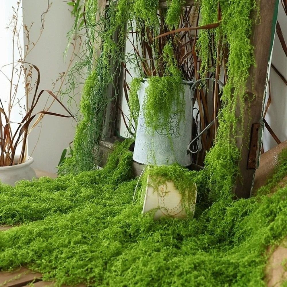 DIY Artificial Grass Rug Durab – Sphagnum Moss Dry Bewertung und Preis