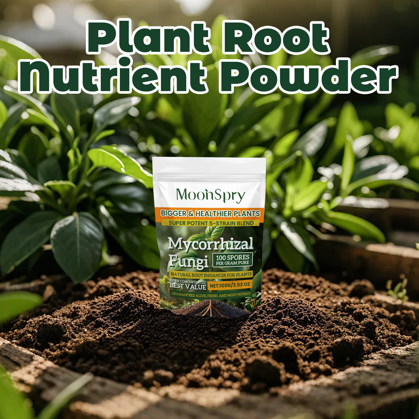3Pack Root Stimulator Powder f – Rooting Hormone Powder Bewertung und Preis