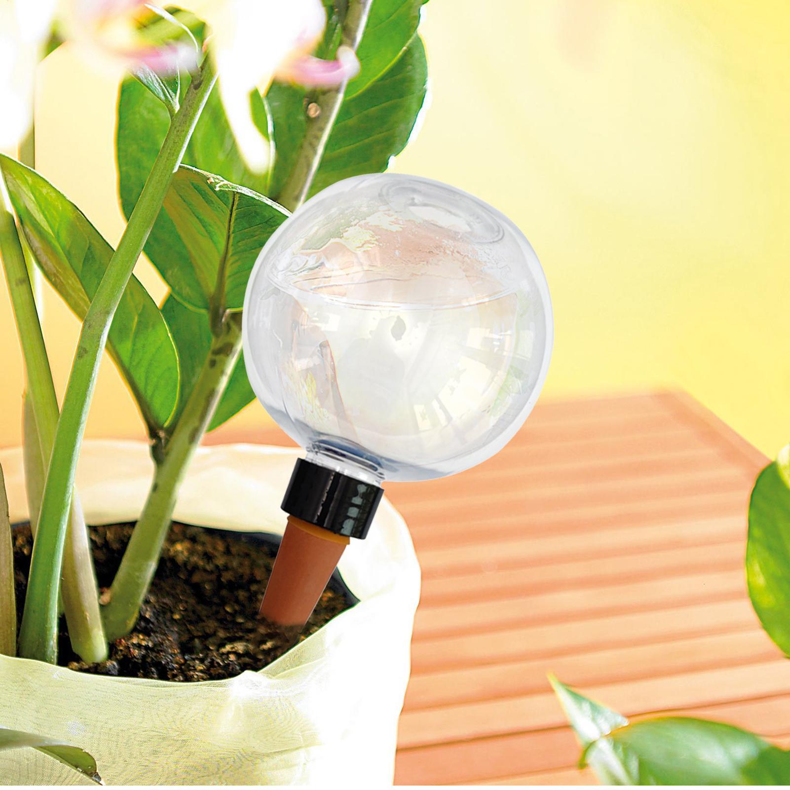 500ml Automatic Plant Watering – Self Watering Insert Bewertung und Preis