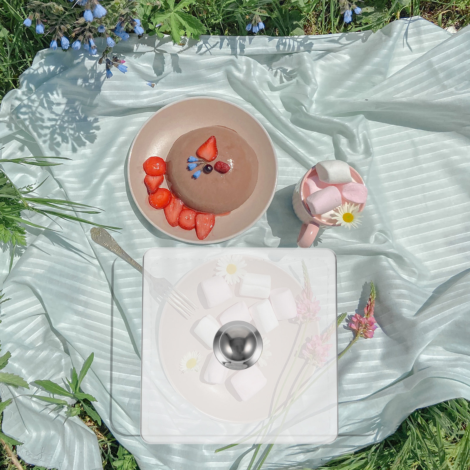 Square Glass Cake Dome Buffet  – Plastic Dome Clear Bewertung und Preis