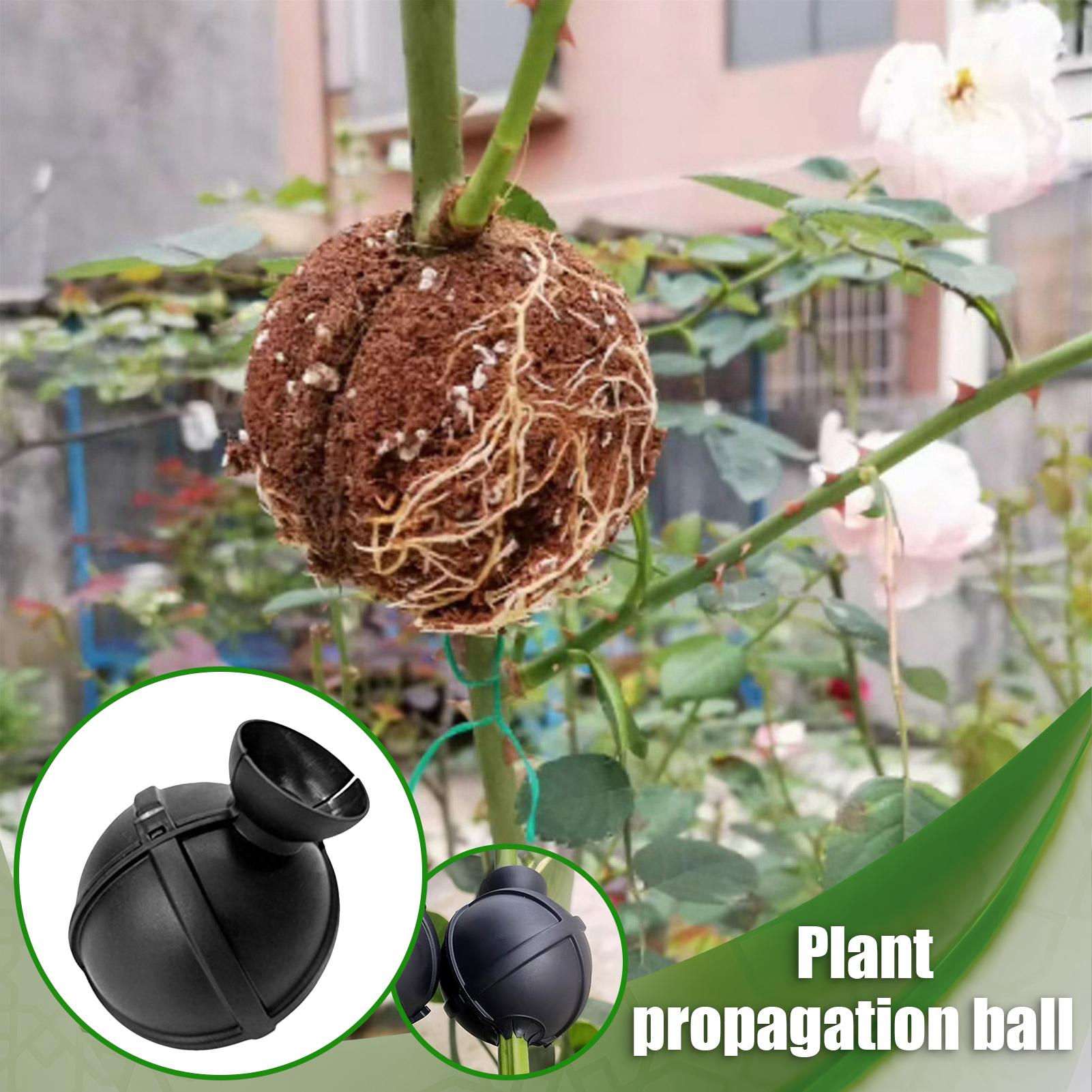 Garden Orchard Plants Grafting – Rooting Gel Clone Bewertung und Preis