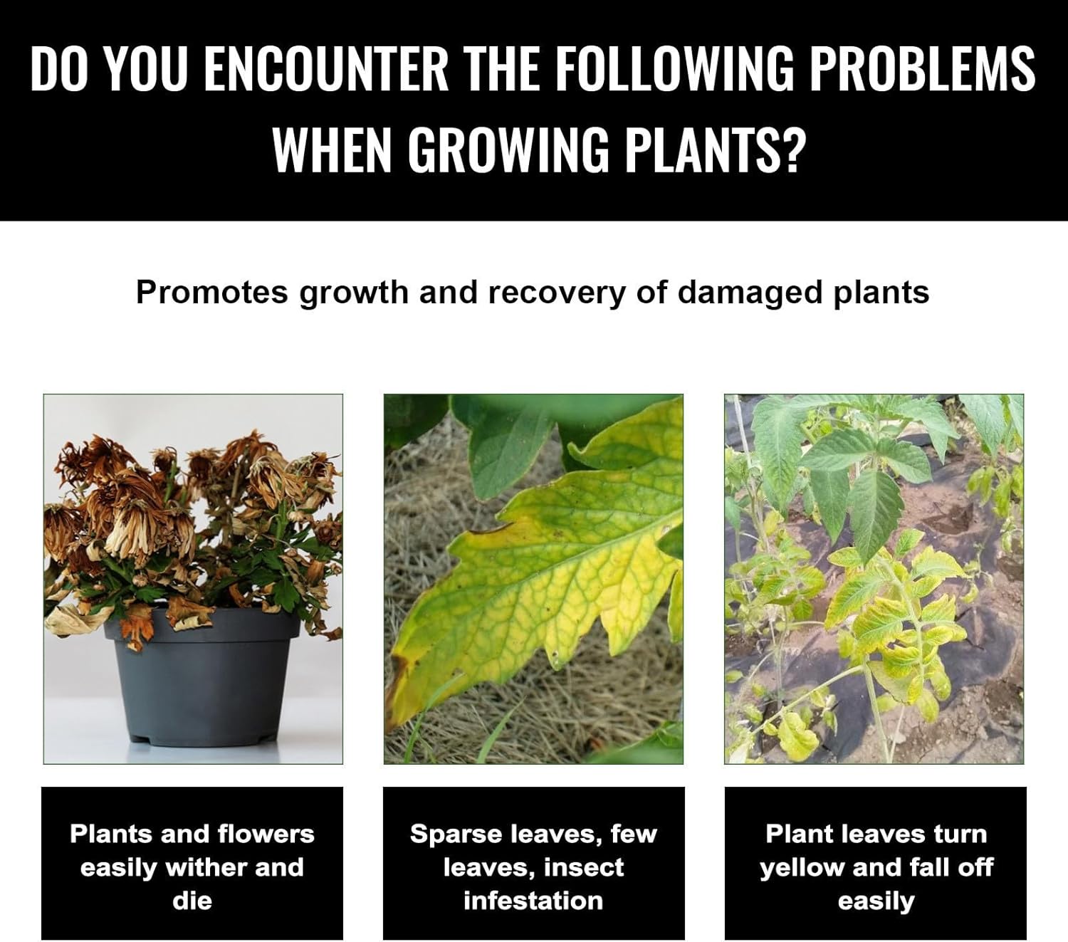 Liquid Plant Growth Enhancers  – Root Stimulator Liquid Bewertung und Preis